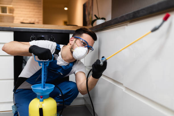 Best Cockroach Control Services  in Prunedale, CA