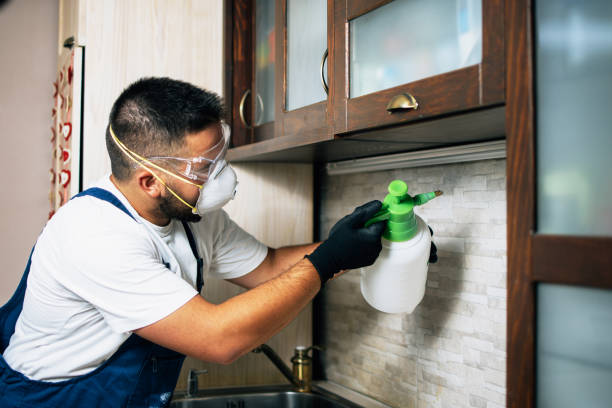 Best Pest Prevention Services  in Prunedale, CA