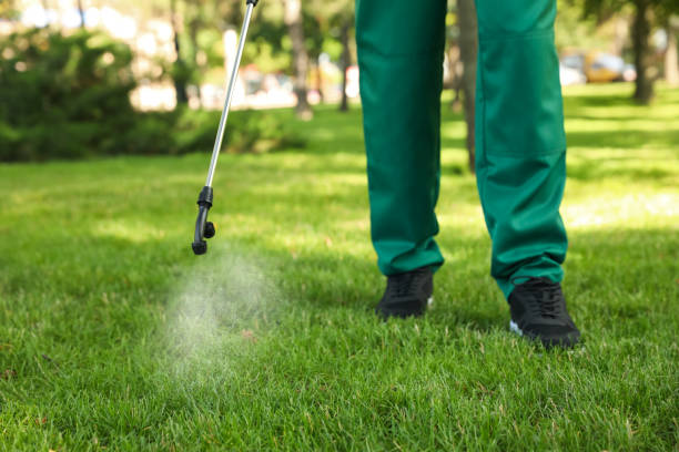 Best Affordable Pest Control Services  in Prunedale, CA