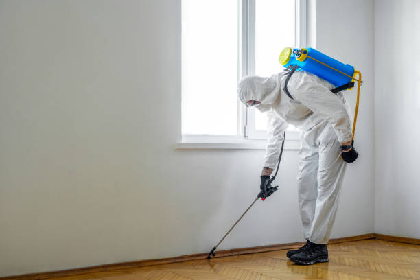 Best Best Pest Control Companies  in Prunedale, CA