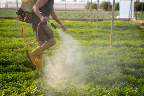 Best Local Pest Control Services  in Prunedale, CA