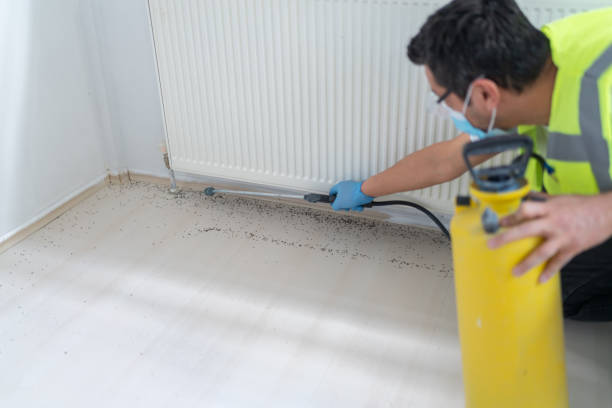 Best Pest Inspection Near Me  in Prunedale, CA